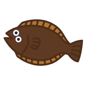 ヒラメ