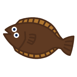 ヒラメ